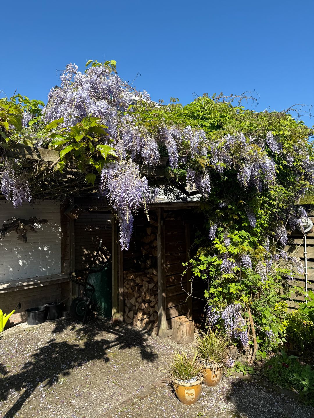 Photo 38 of Kornoeljelaan 42