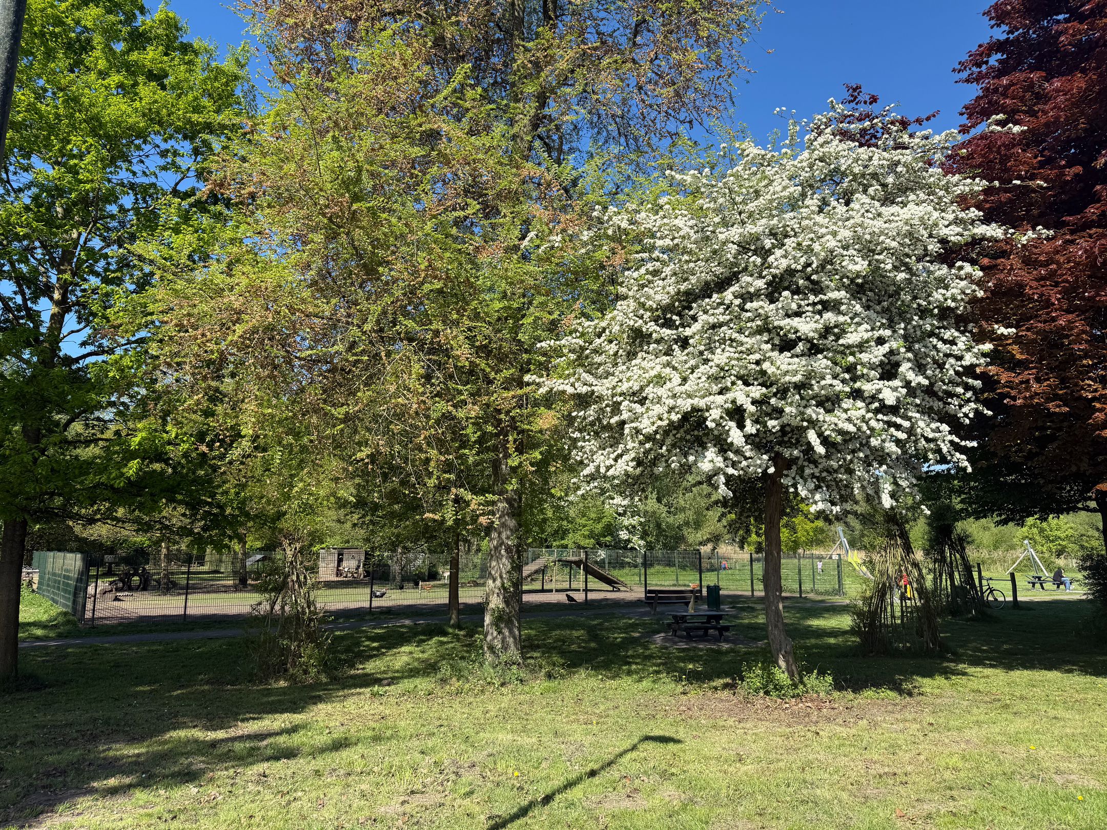 Photo 45 of Kornoeljelaan 42