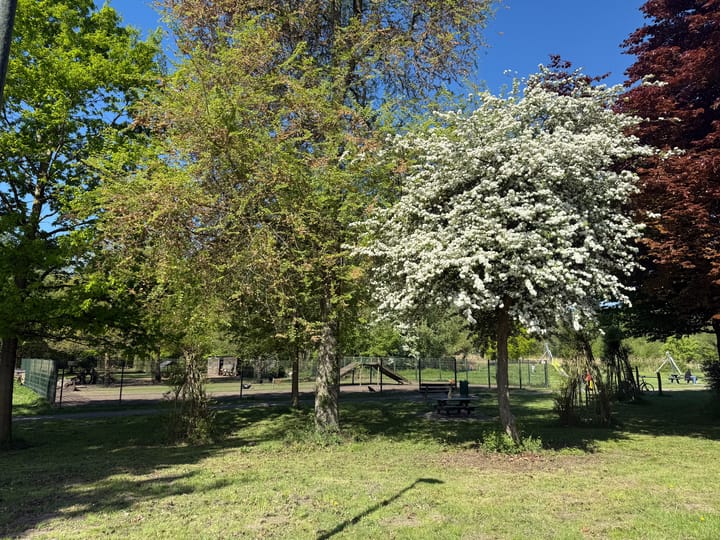 Foto 45 van Kornoeljelaan 42