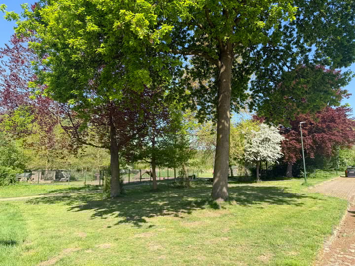 Foto 46 van Kornoeljelaan 42