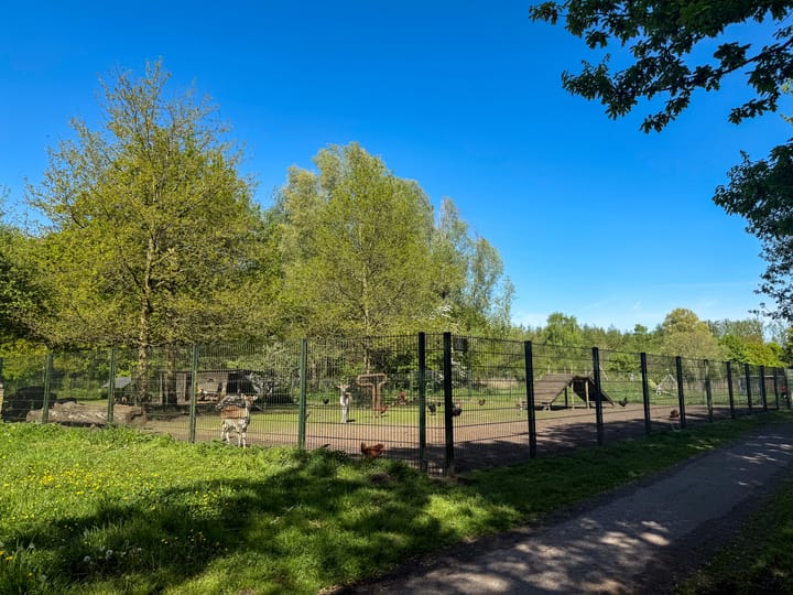 Foto 47 van Kornoeljelaan 42