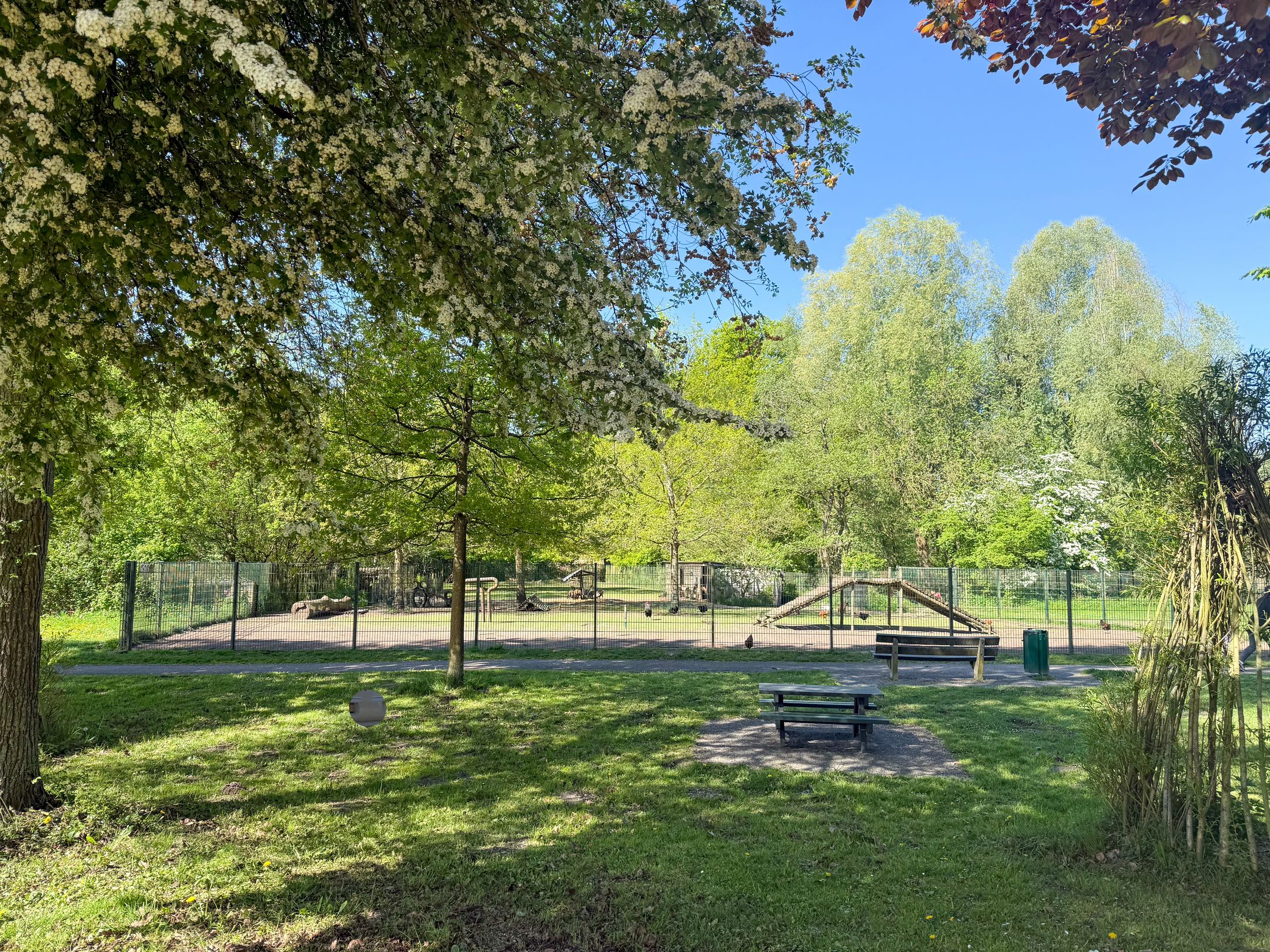 Photo 48 of Kornoeljelaan 42