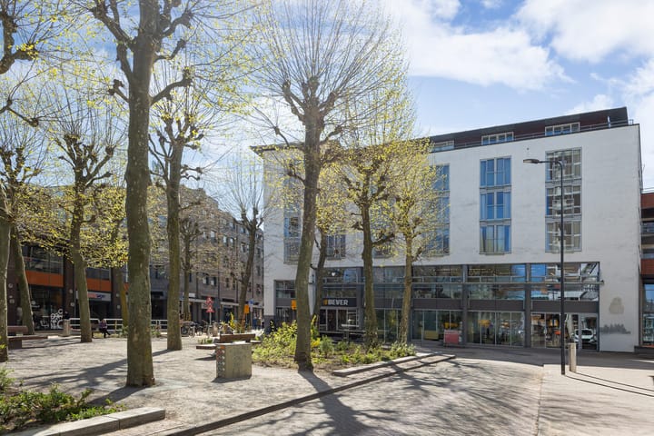 Foto 49 van Scheidingstraat 55