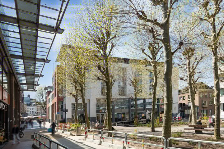 Foto 50 van Scheidingstraat 55