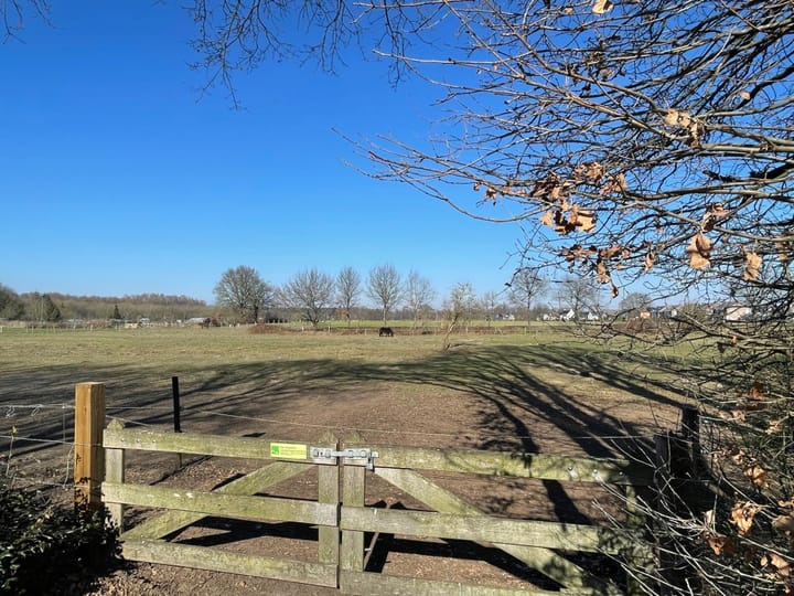 Foto 34 van Dubloenhof 12