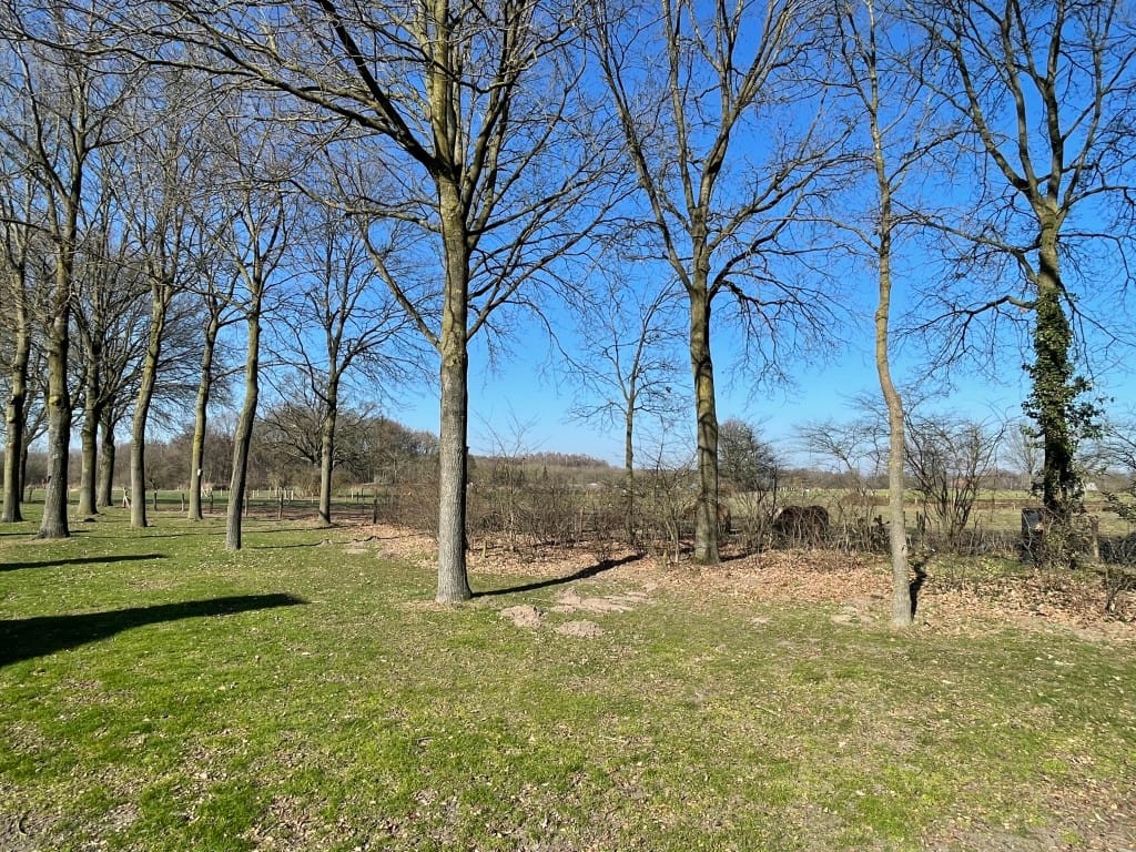 Foto 35 van Dubloenhof 12