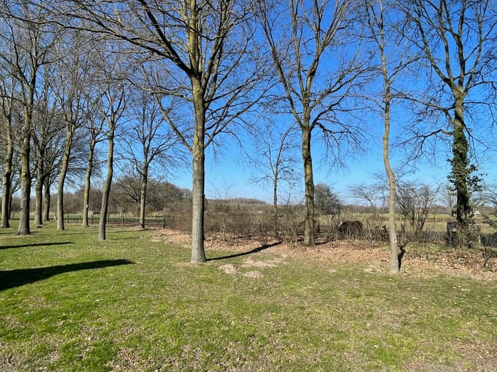 Foto 35 van Dubloenhof 12