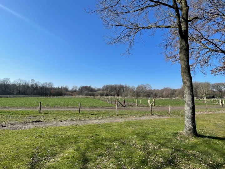 Foto 36 van Dubloenhof 12