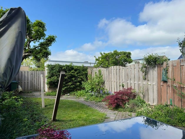 Foto 24 van Van Hogendorplaan 16