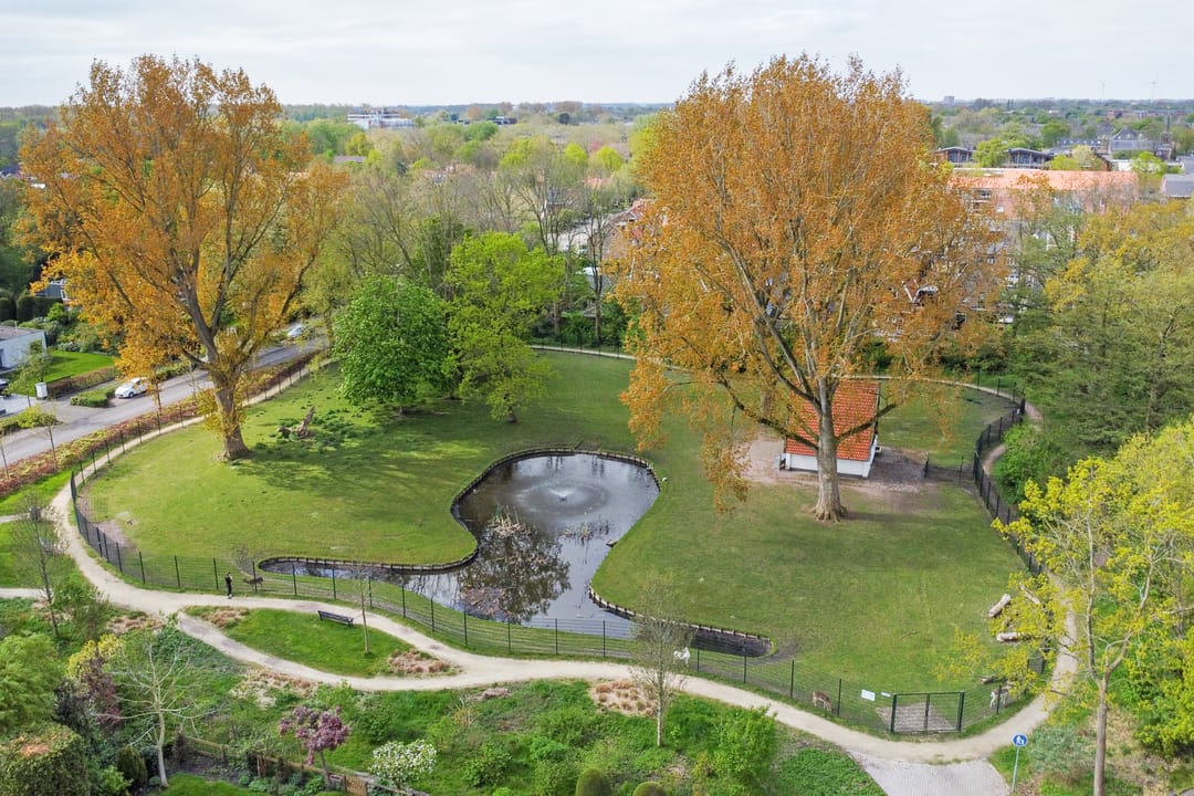 Foto 56 van Pastoor Sprengerstraat 3