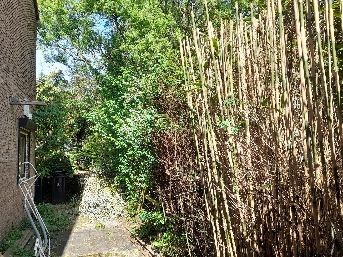 Foto 20 van van der Helstpark 51