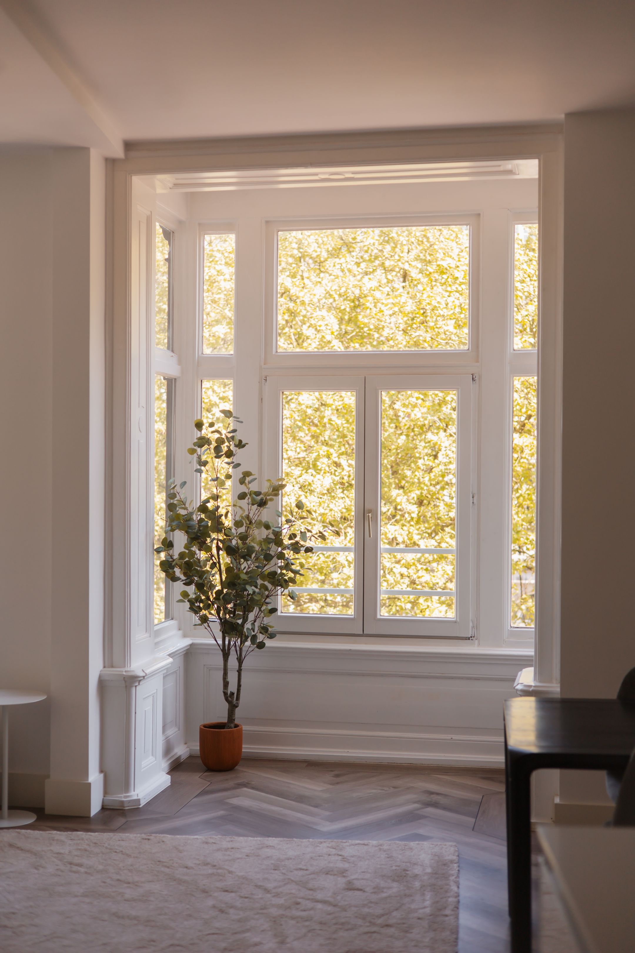 Foto 3 van Marnixstraat 354-C