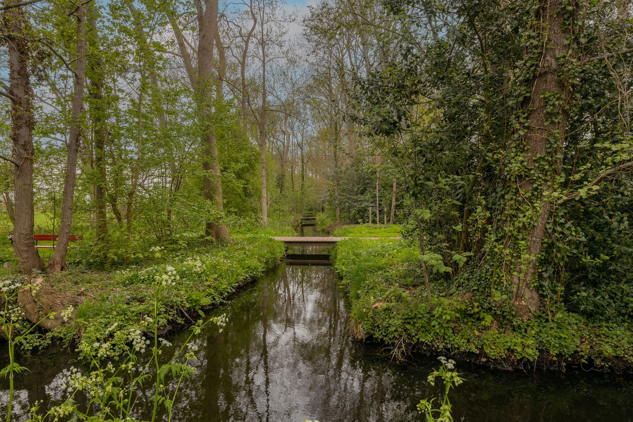 Photo 6 of Madelief 11