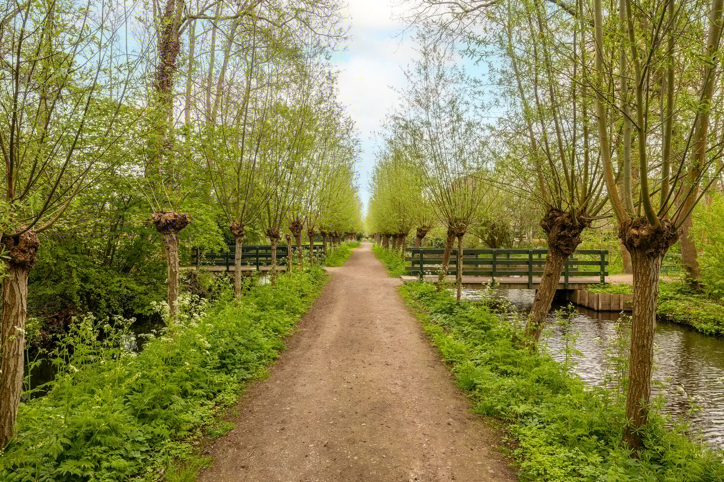 Photo 50 of Madelief 11