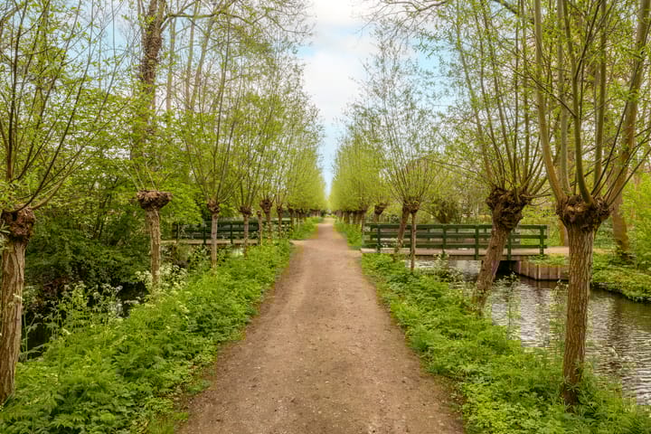 Foto 50 van Madelief 11