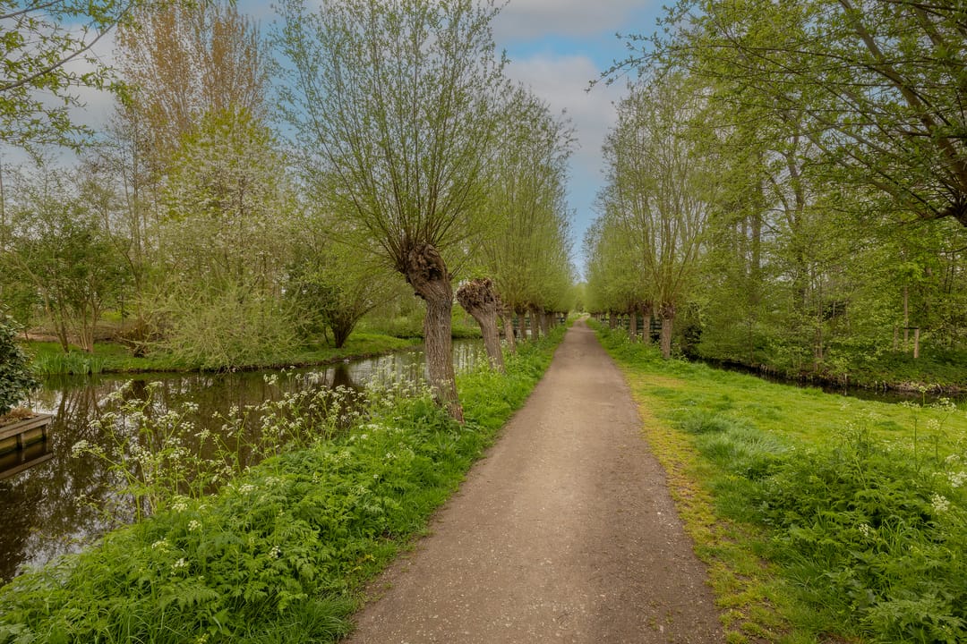 Photo 53 of Madelief 11