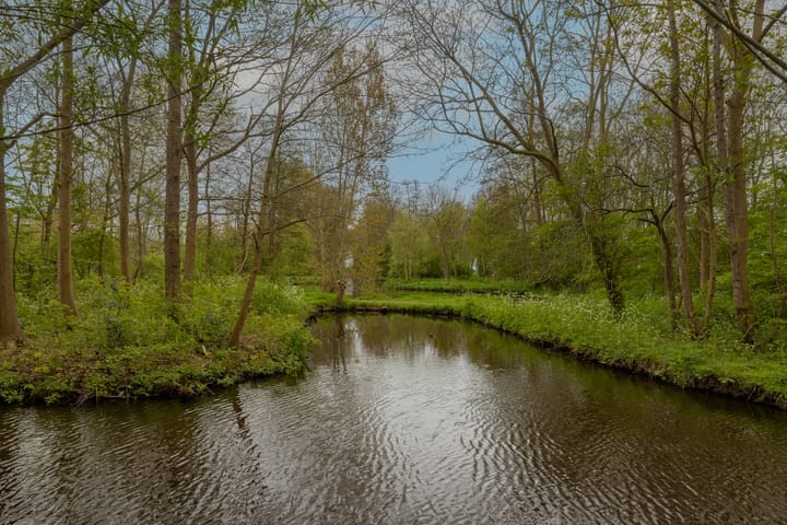 Foto 54 van Madelief 11