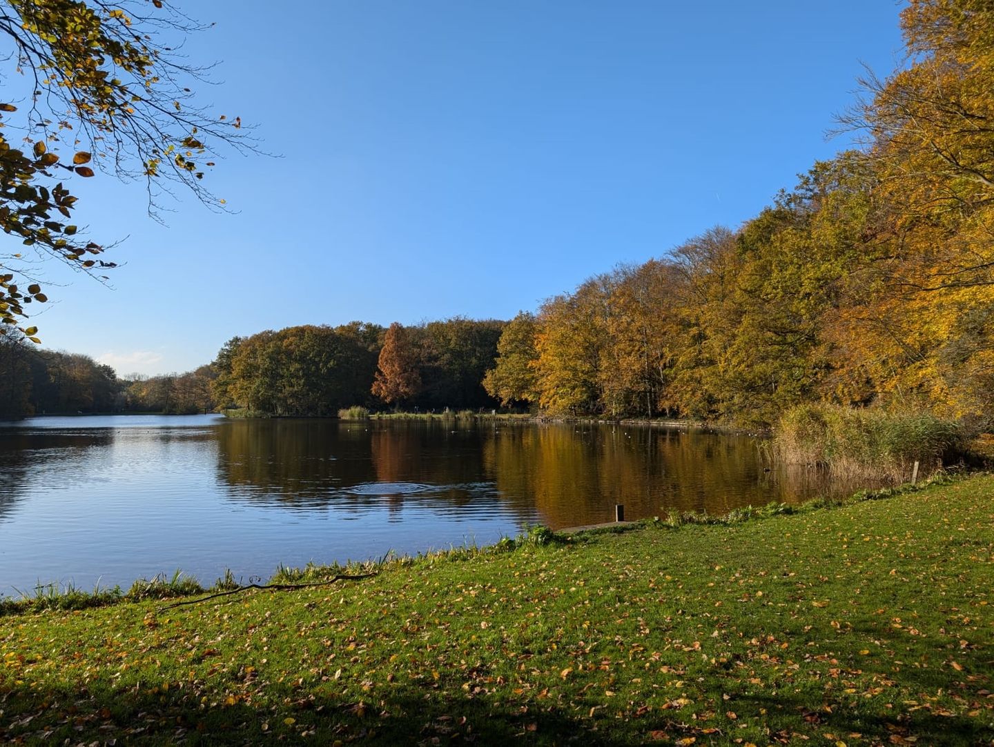 Foto 29 van Spaarwaterhof 24