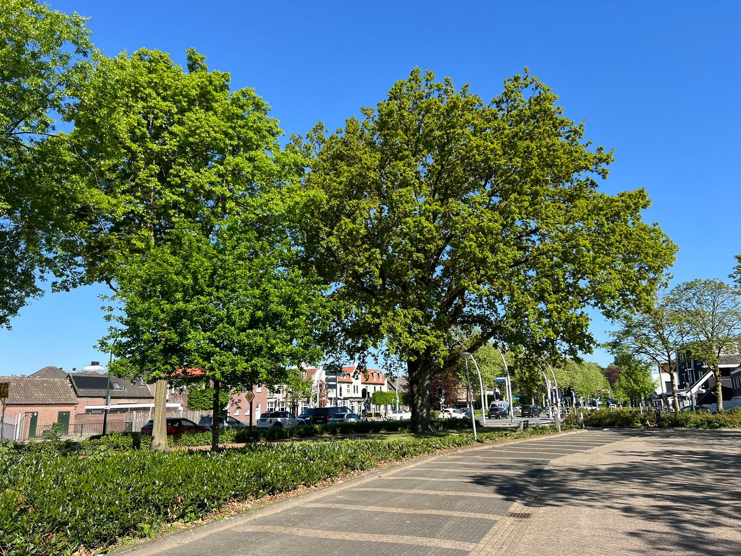 Foto 4 van Hazestraat 6-E