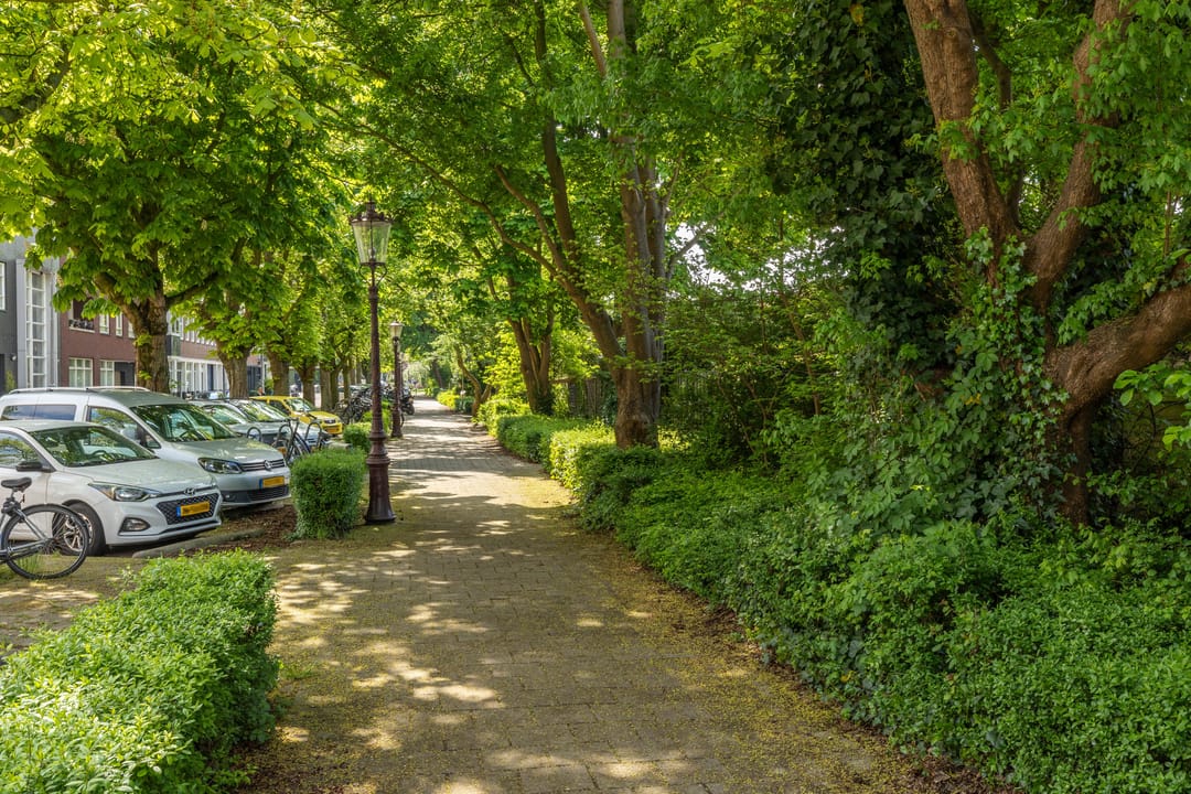 Foto 26 van Visseringstraat 5-2