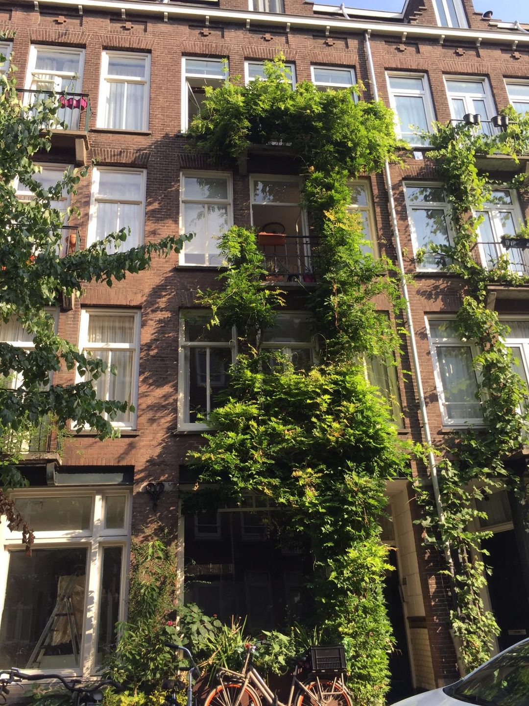 Foto 16 van Van Ostadestraat 365-3