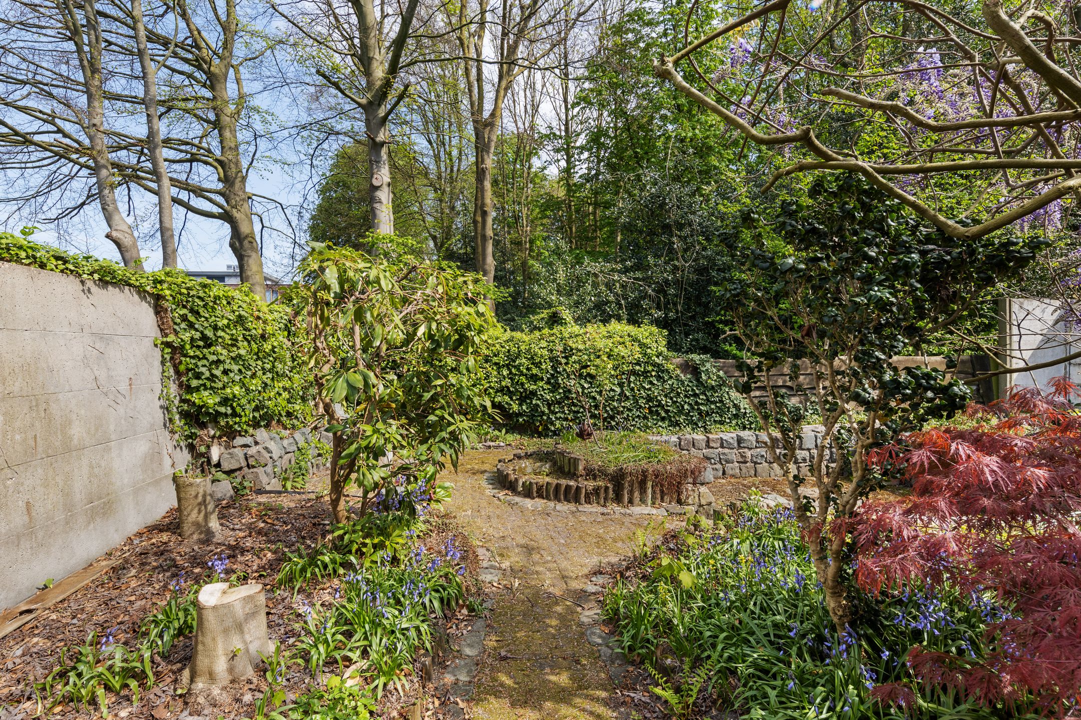 Foto 33 van Engelselaan 25