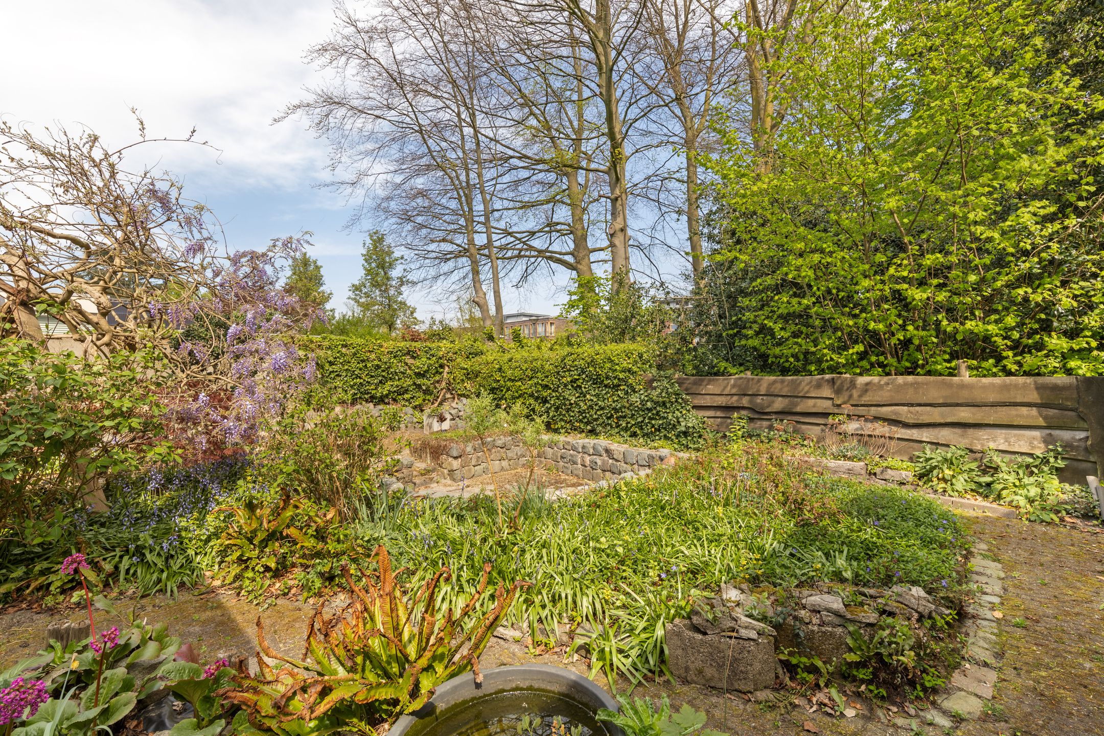 Foto 36 van Engelselaan 25