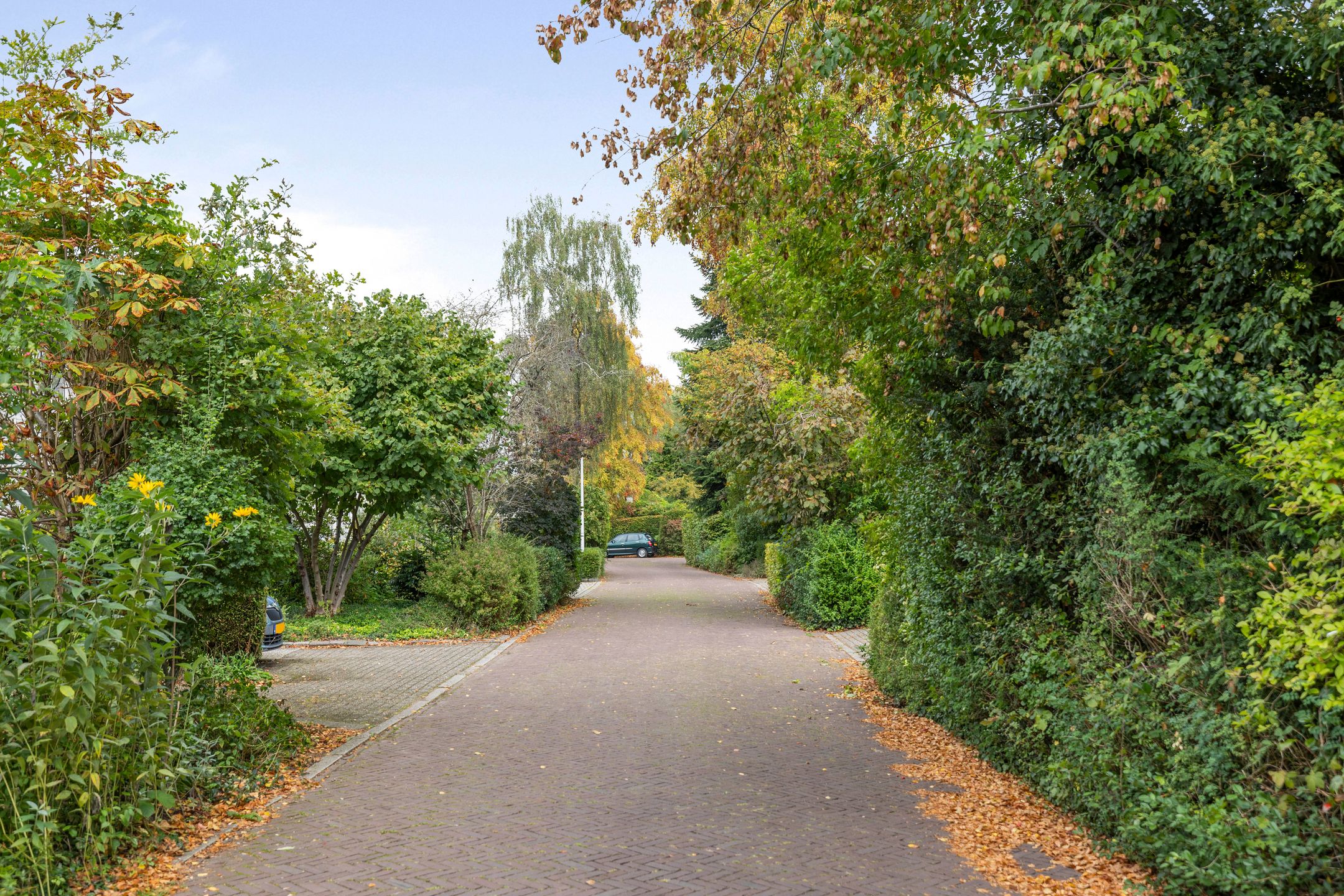 Foto 30 van Borgelerhofweg 22