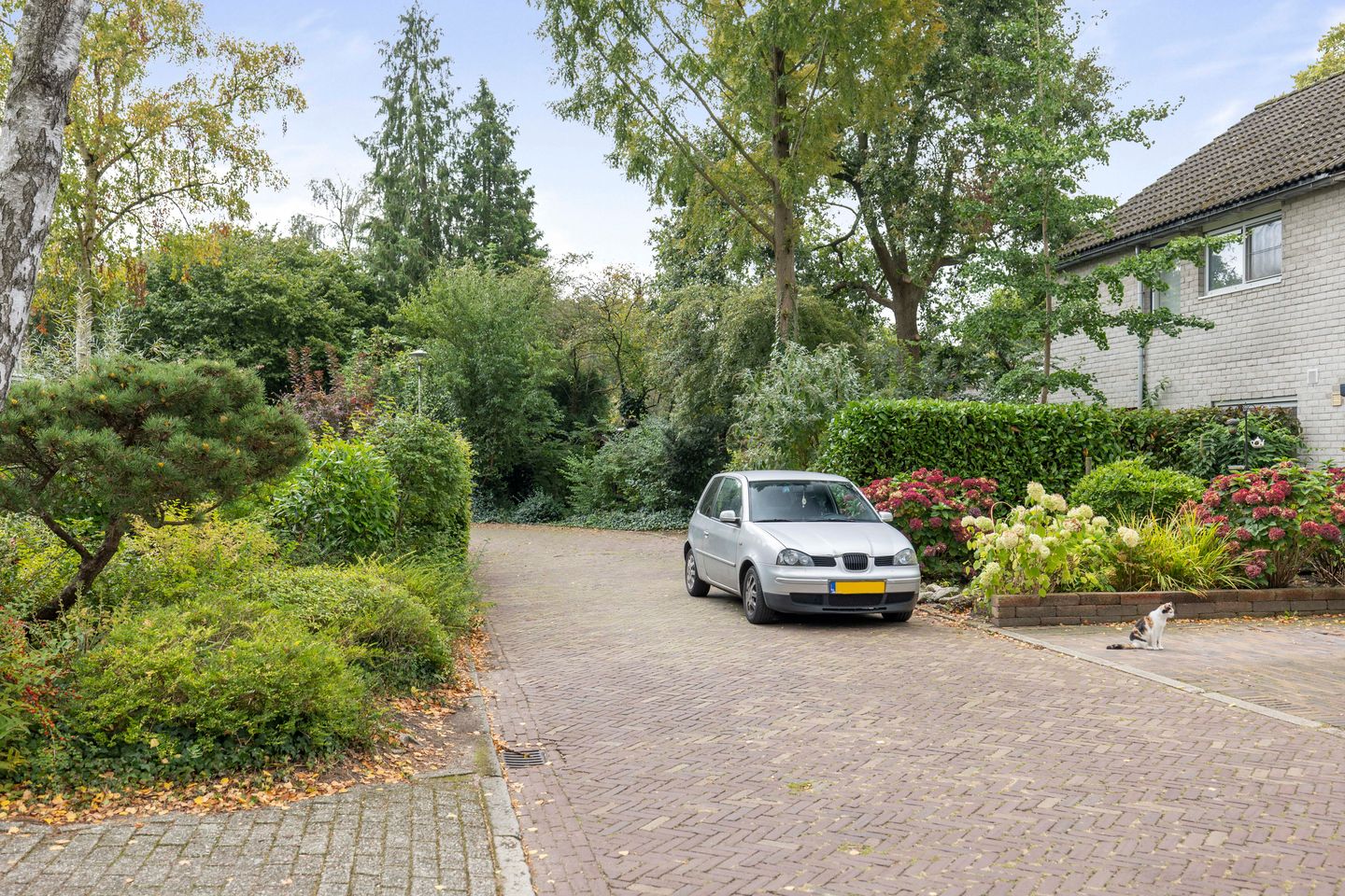 Foto 29 van Borgelerhofweg 22