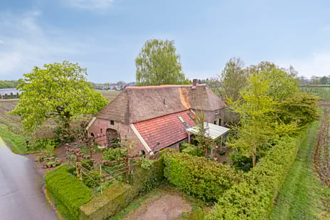 undefined main image