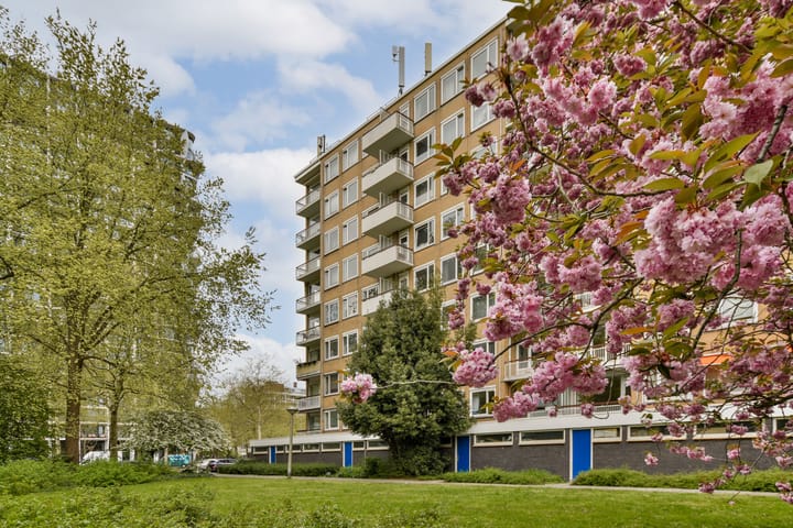 Foto 2 van Van Nijenrodeweg 836