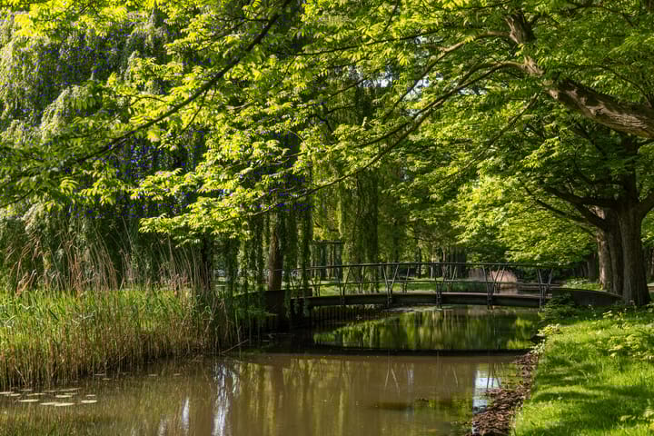 Foto 34 van Beethovenlaan 5-A