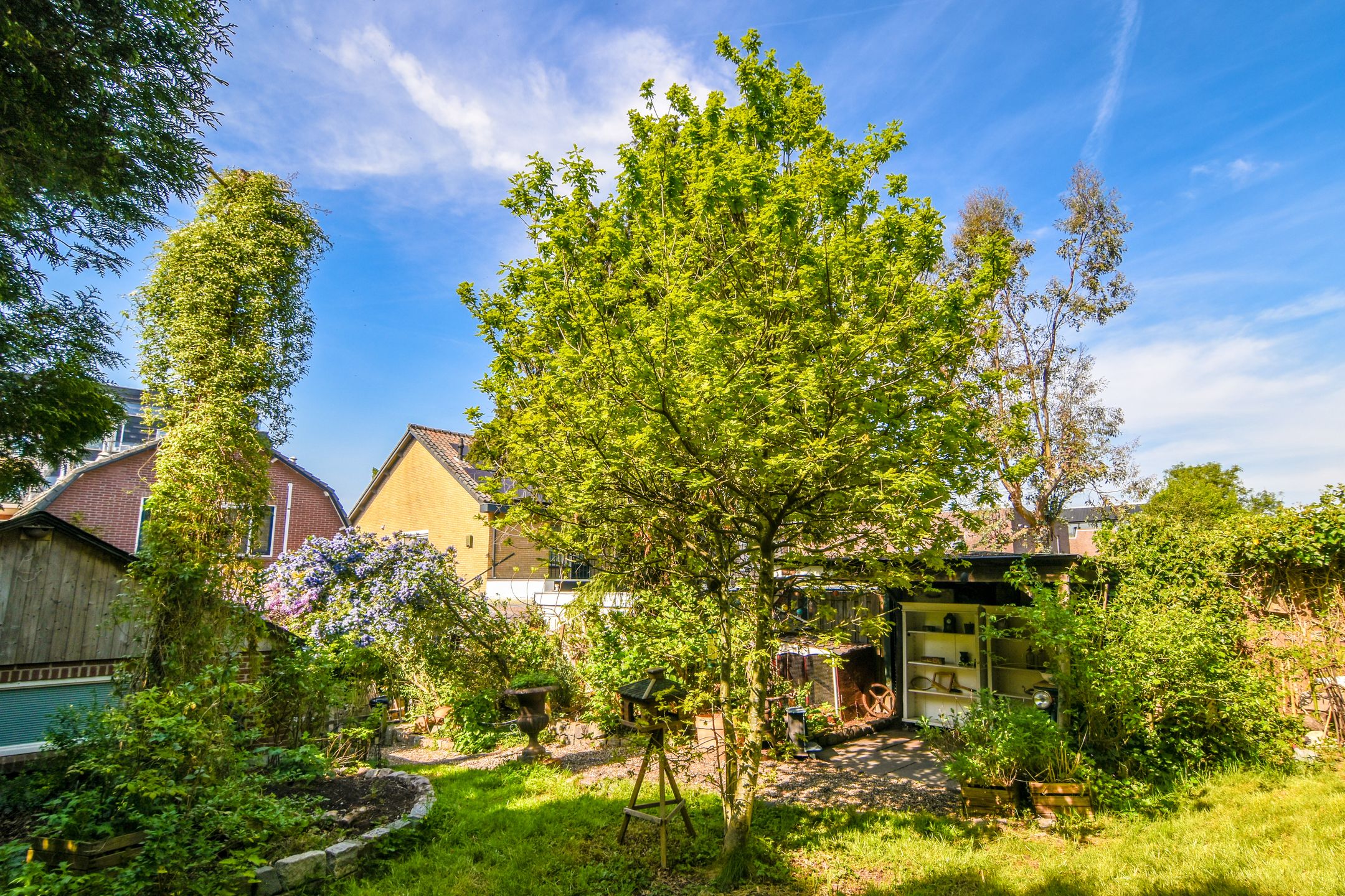 Foto 24 van Bermweg 322