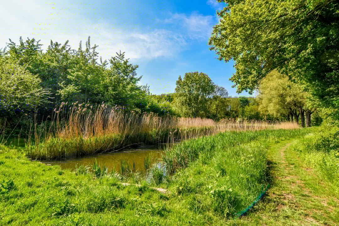 Foto 46 van Bermweg 322