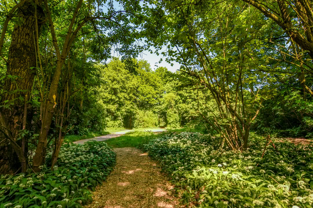 Foto 47 van Bermweg 322