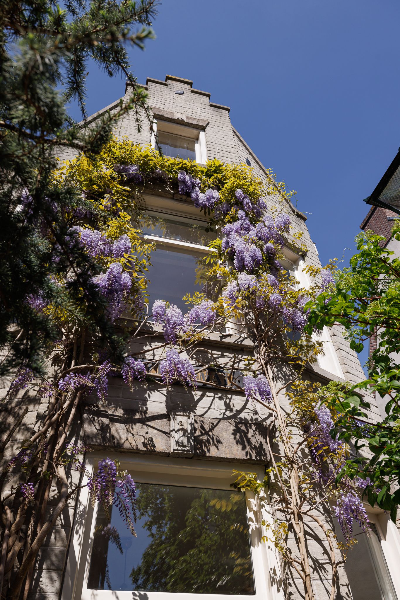 Foto 3 van Gedempte Baansloot 25