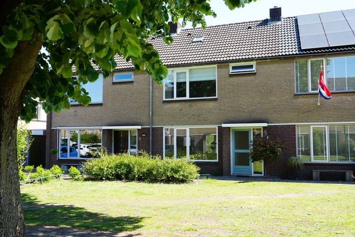 undefined main image