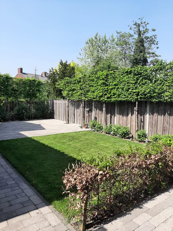 Foto 6 van Hof van Spinoet 3