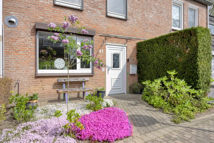 Foto 5 van Wolvepad 61