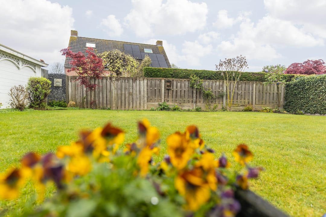 Foto 31 van Lange Voer 31