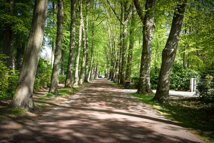 Foto 7 van Molenweg 13