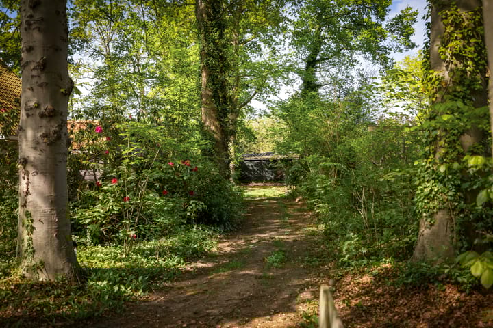 Foto 9 van Molenweg 13