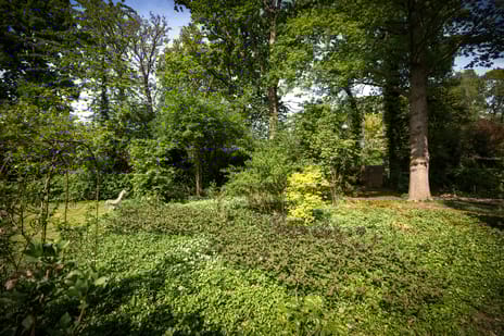 Molenweg 13 tertiary image