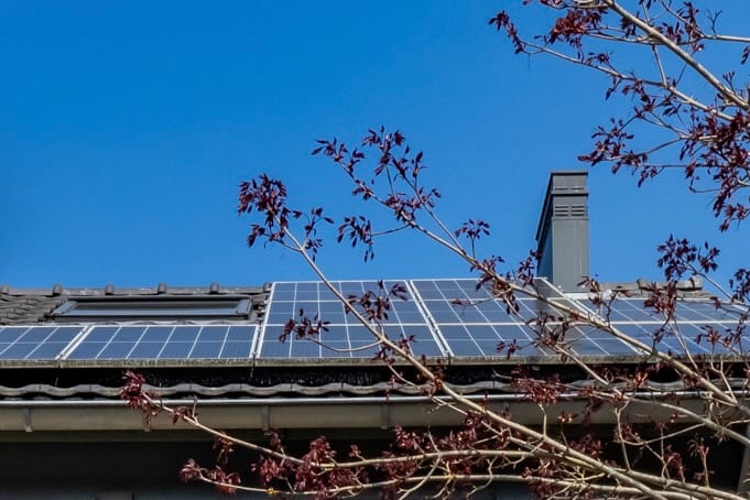 Foto 50 van Eikenhout 2