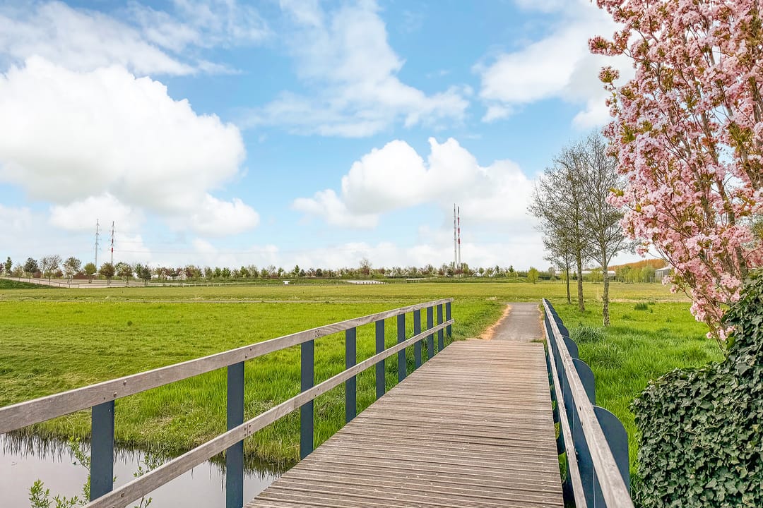 Foto 28 van Jack Sharp park 23