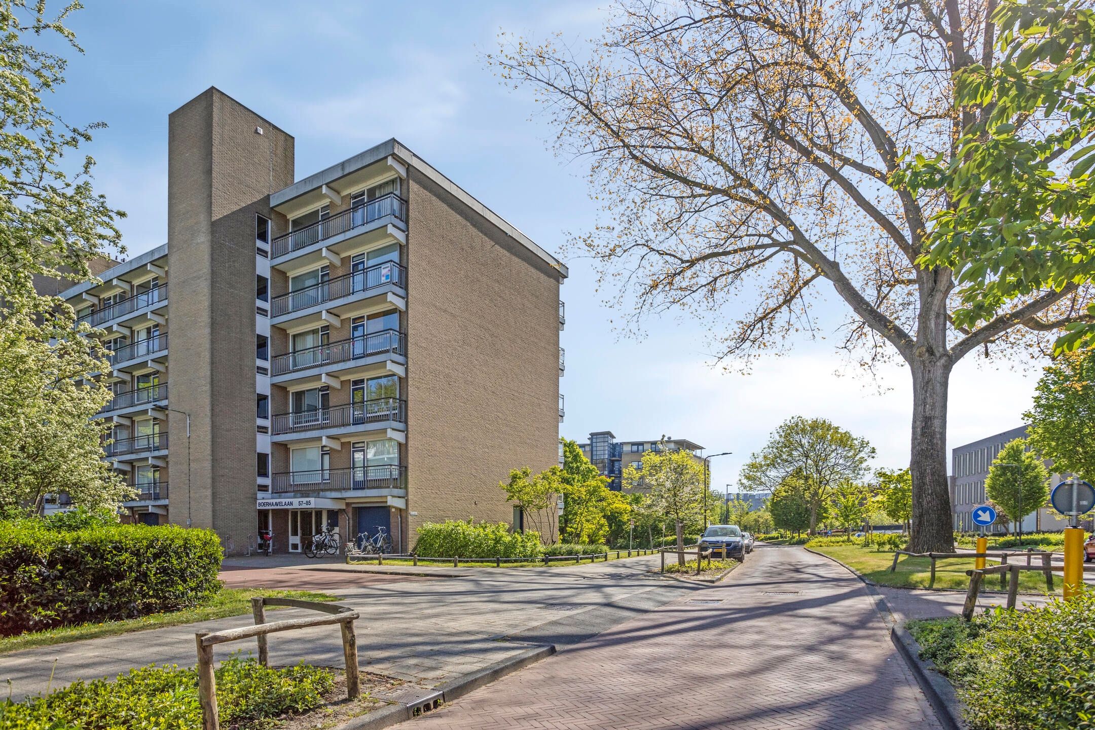 Foto 21 van Boerhaavelaan 73
