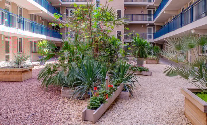 Foto 12 van Irene Vorrinkstraat 3