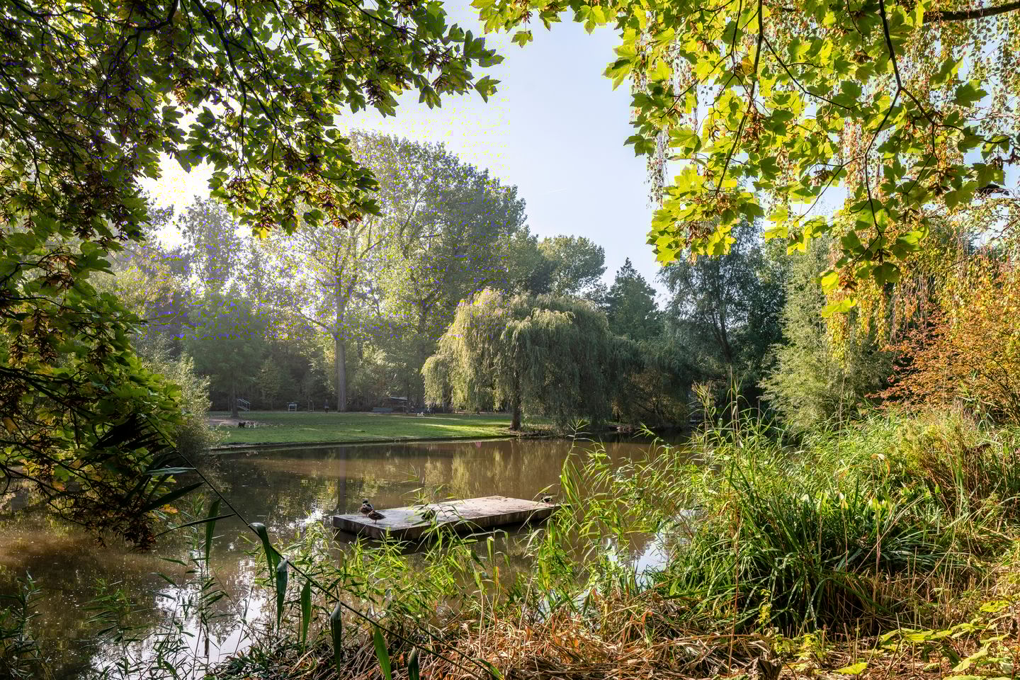 Foto 25 van Sarphatipark 66-B