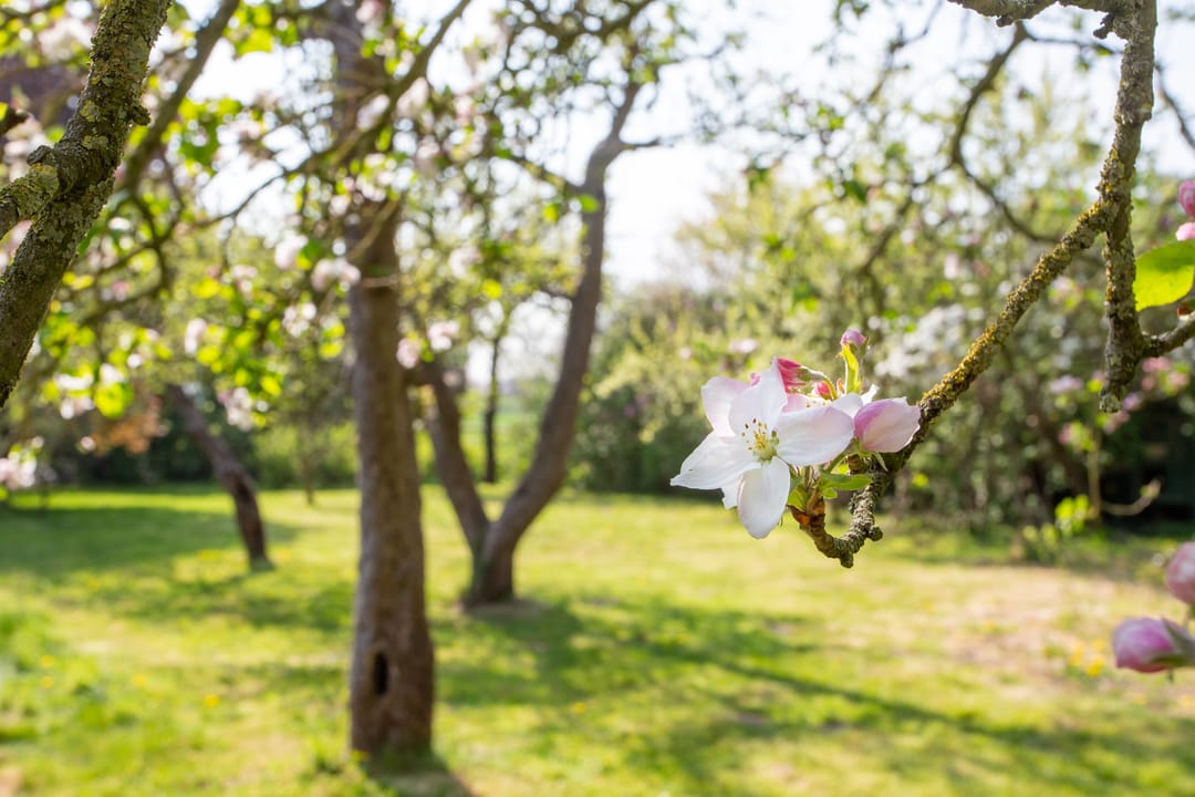 Photo 41 of Pastoriestraat 4