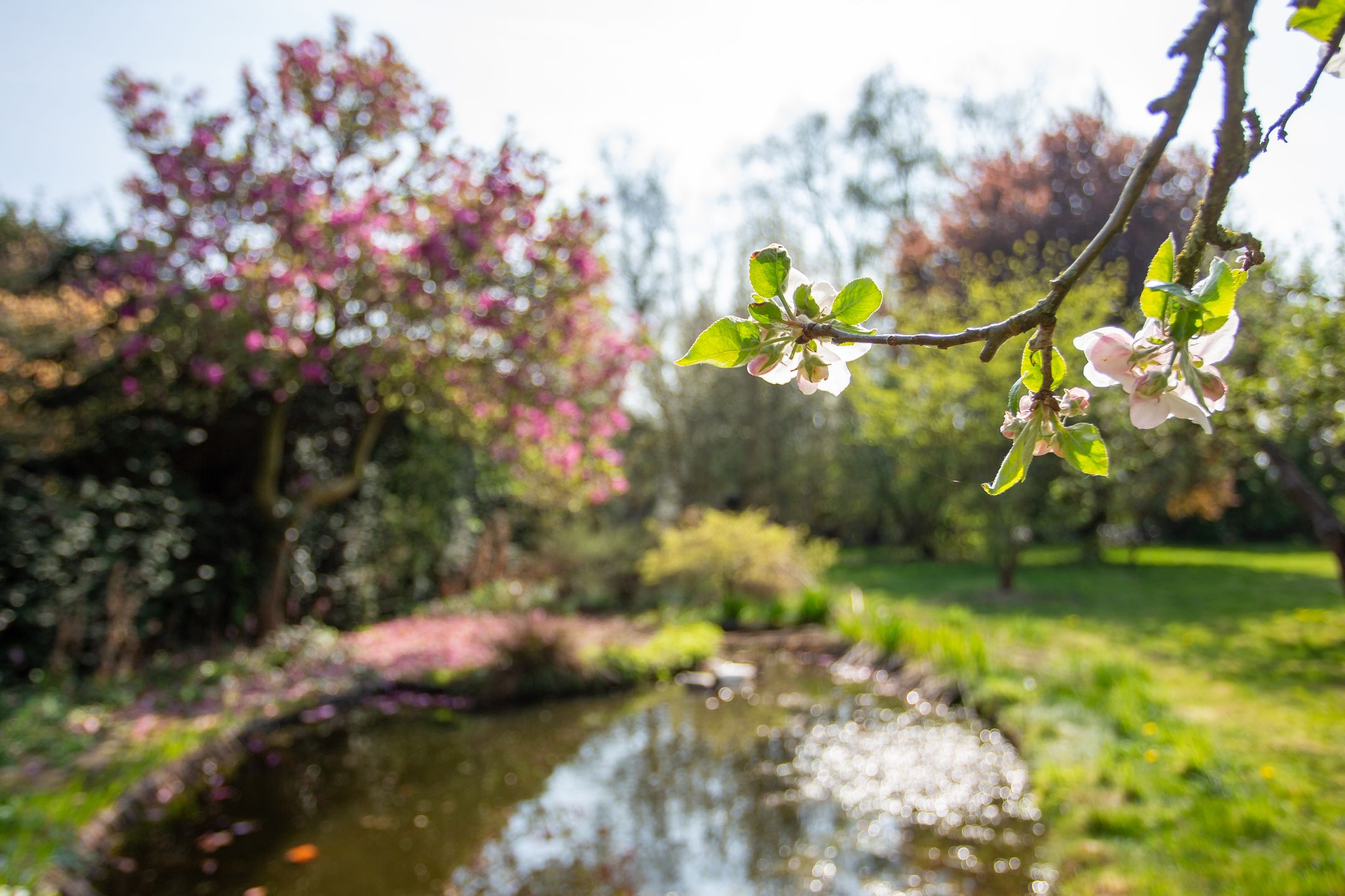 Photo 42 of Pastoriestraat 4